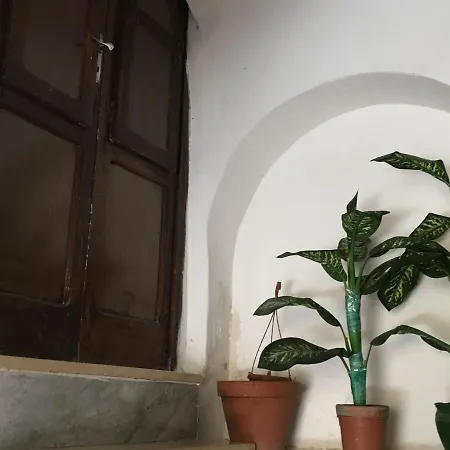 Cozy In With Terrace Apartament